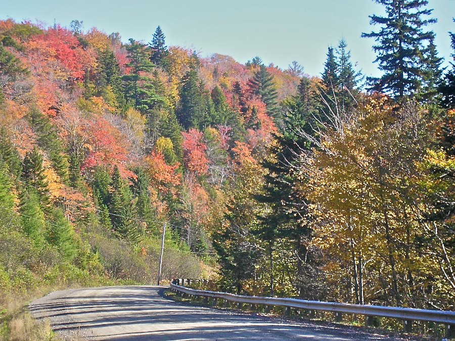 Colours on the Whycocomagh Road