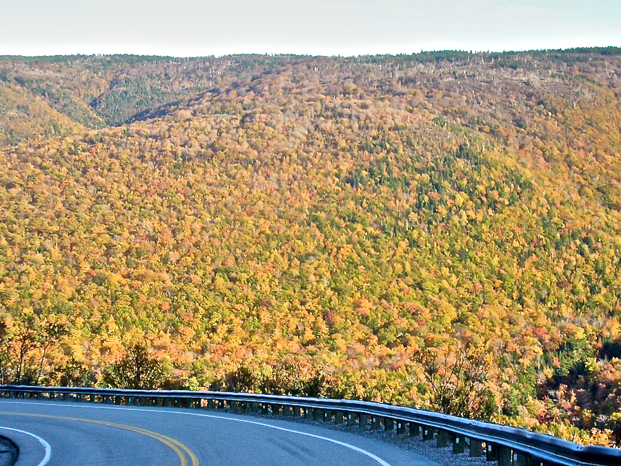 Descending North Mountain on the Cabot Trail