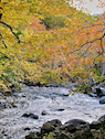 Corney Brook