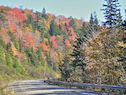Colours on the Whycocomagh Road