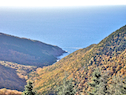 Fishing Cove from the Cabot Trail Look-Off