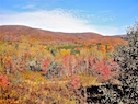 Colours at Northeast Mabou