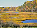 Southwest Mabou River Delta