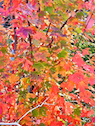 Changing Tree