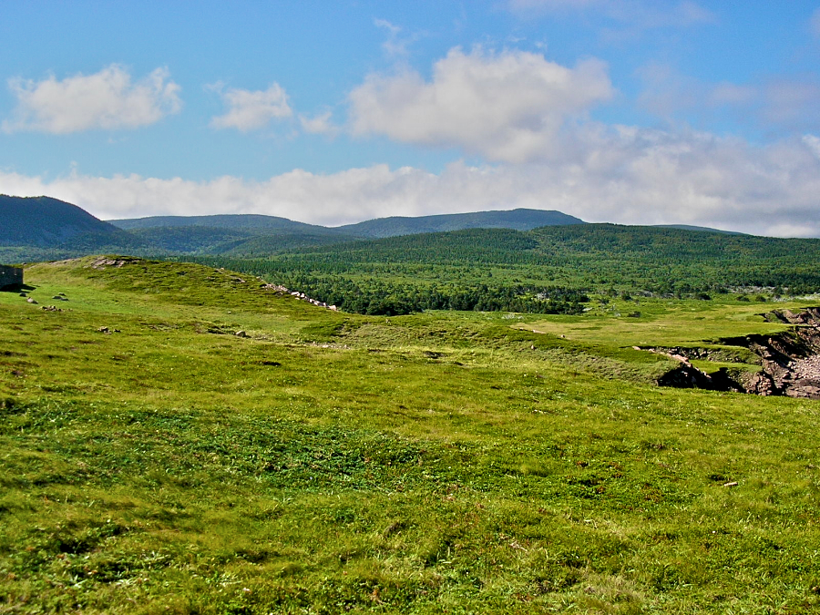 Highlands and fields to the southwest from Cape St Lawrence