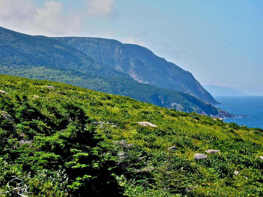 The Gulf Coast to the Southwest from Tittle Point