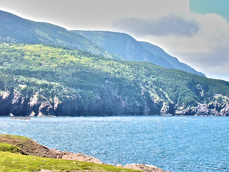 Lowland Cove and the High Capes
