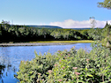 Pond on the Lighthouse Trail