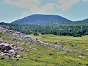 Bear Hill seen from Cape St Lawrence