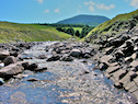 French Brook