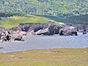 Near the head of Lowland Cove