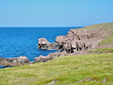Rocky Shore near Lowland Cove