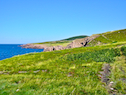 Rocky coast towards Tittle Point from Lowland Cove