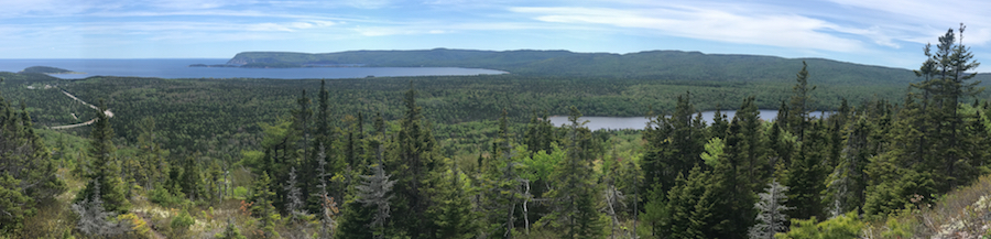 broad_cove_mountain_panorama.jpg