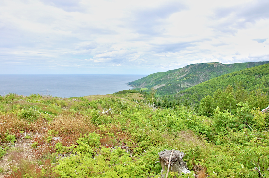 fair_alistair_panorama.jpg