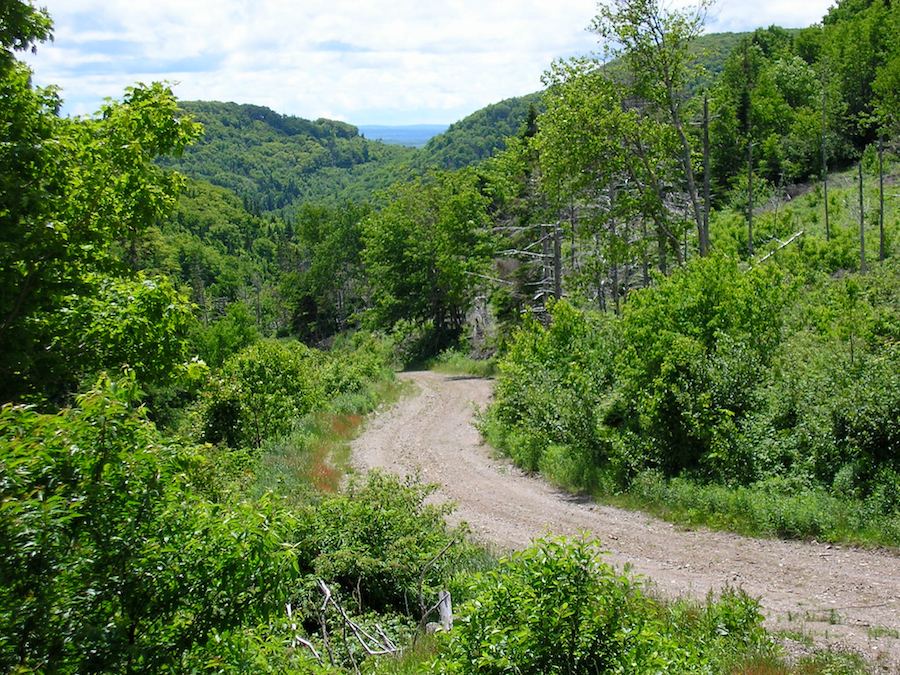 macdonalds_glen_road_1.jpg
