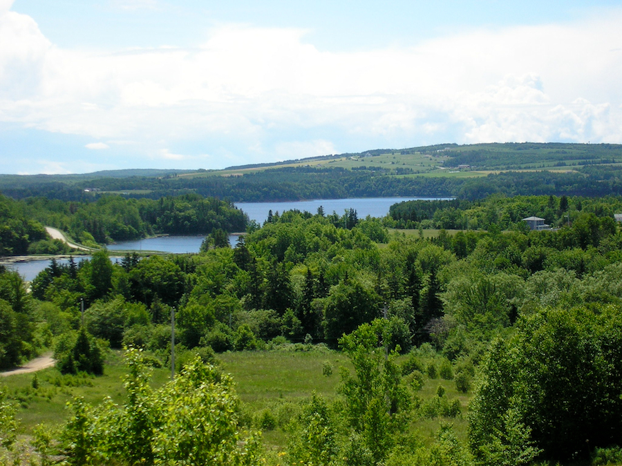 macdonalds_glen_road_2.jpg