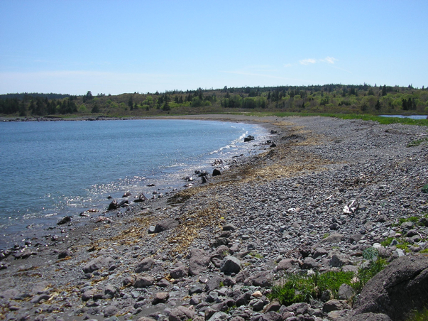 mackerel_cove.jpg