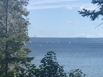 sailboats_on_the_great_bras_dor_lake.jpg