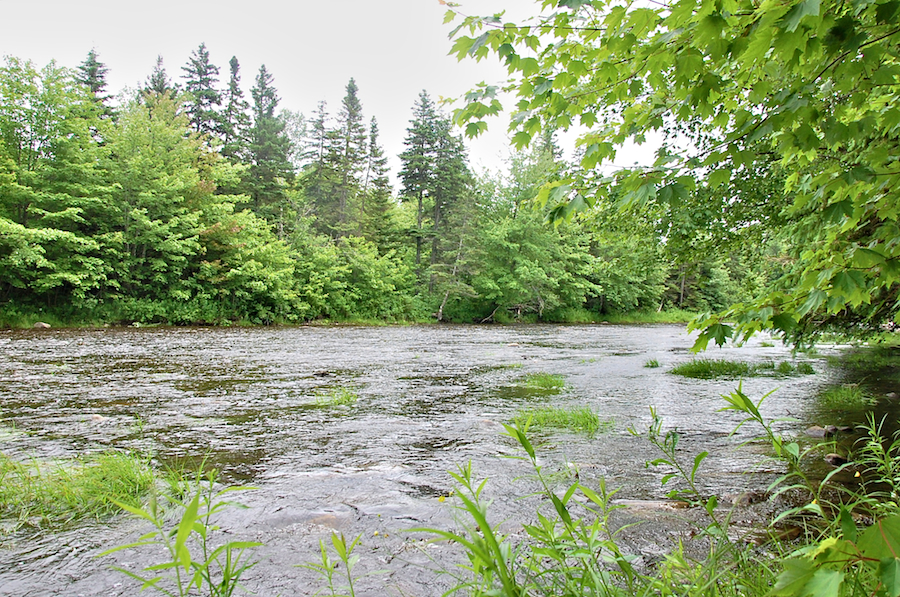southwest_mabou_river_at_macisaac_farm.jpg