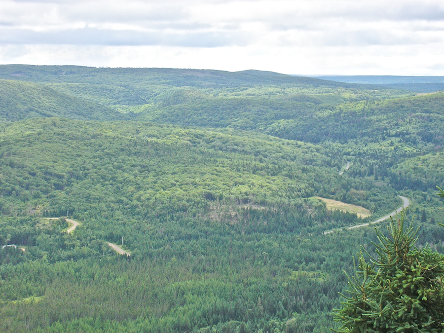 Kewstoke from the Campbells Mountain Look-Off