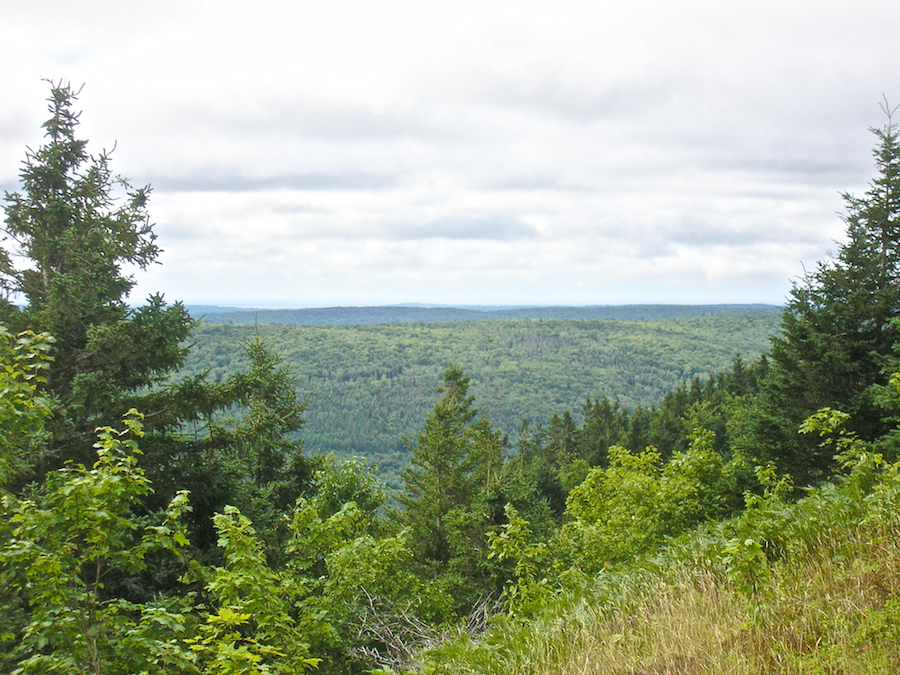 View due West from Campbells Mountain Look-Off