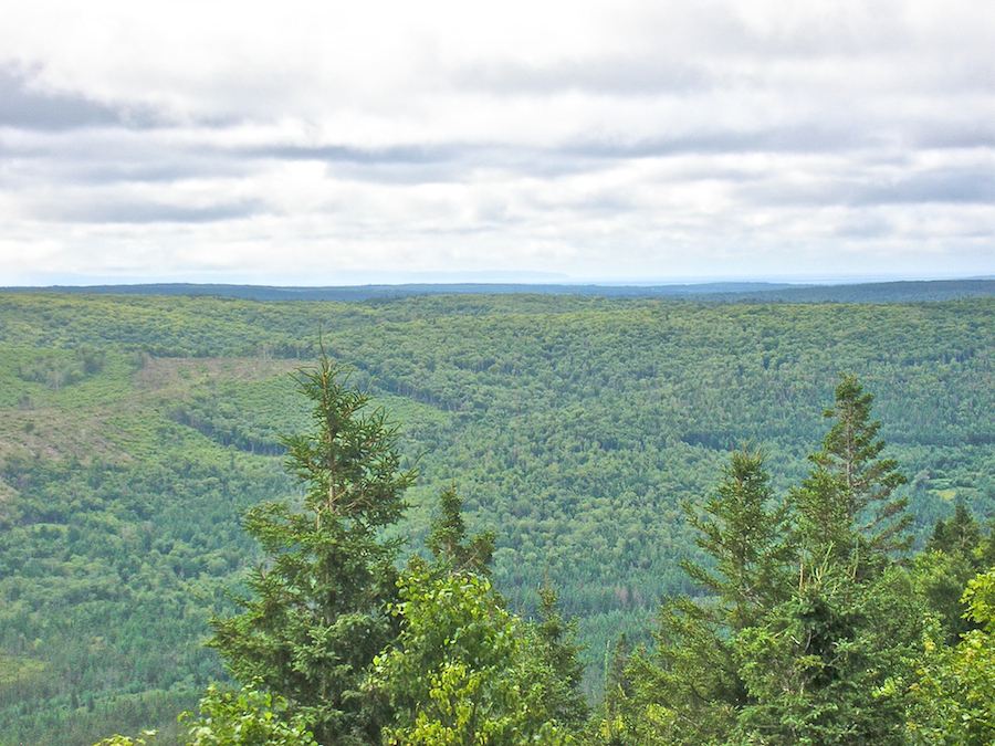 Roseburn Valley and Cape George