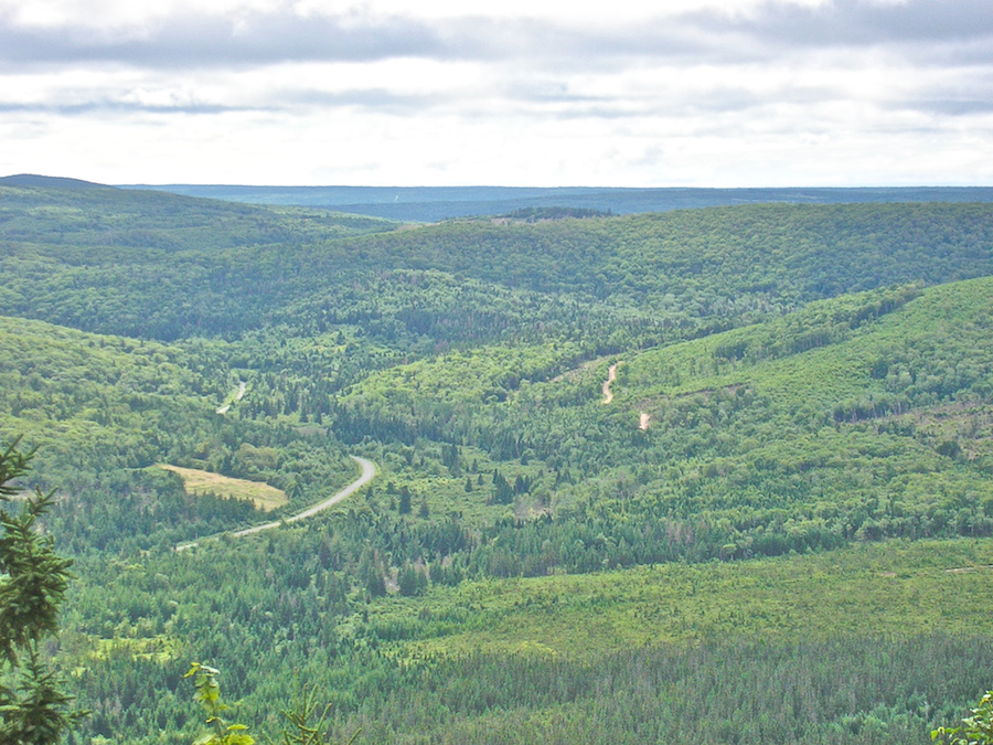 Kewstoke from the Campbells Mountain Look-Off