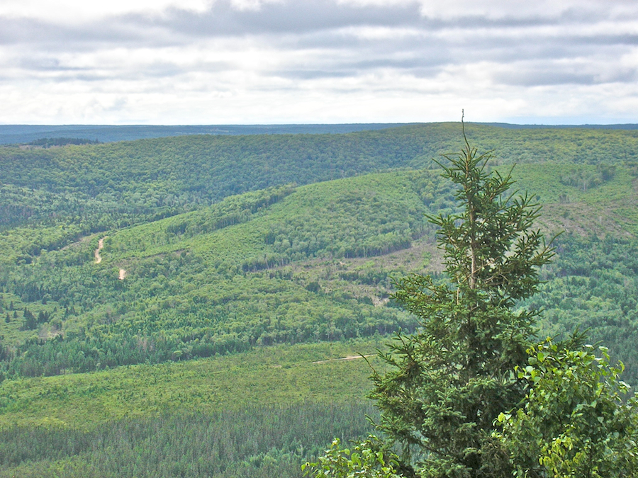 Looking towards Rosedale from the Campbells Mountain Look-Off