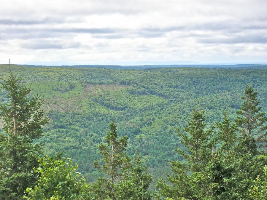 Roseburn Valley and Cape George