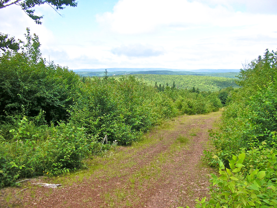 Wide-Angle View from the Spur Road