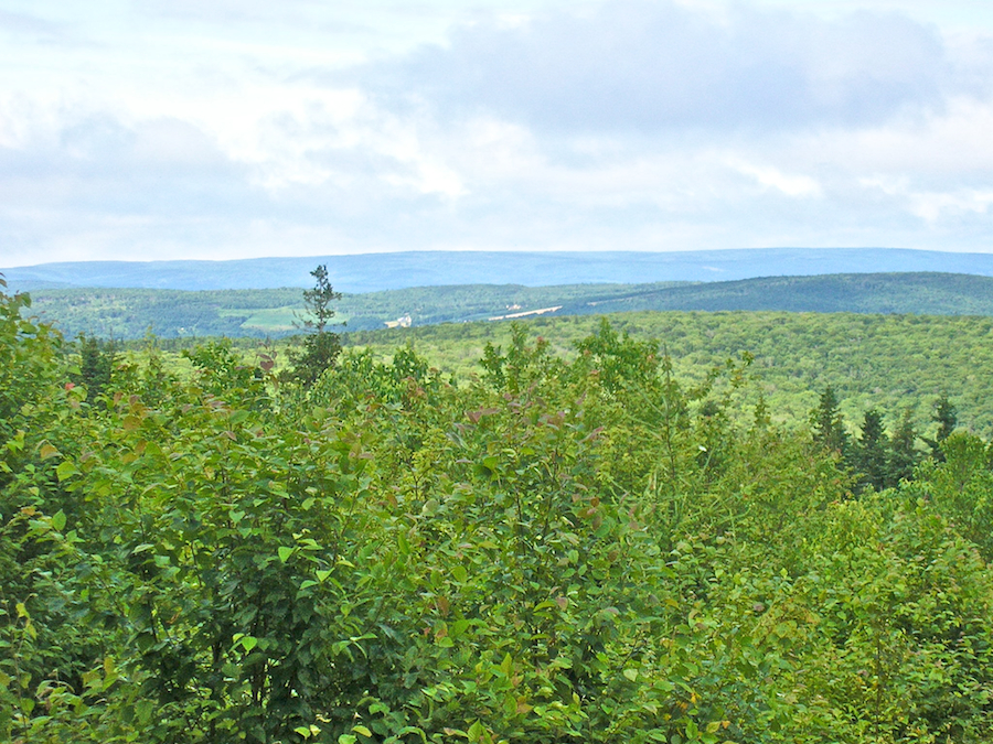Telephoto View to the West of North from the Spur Road