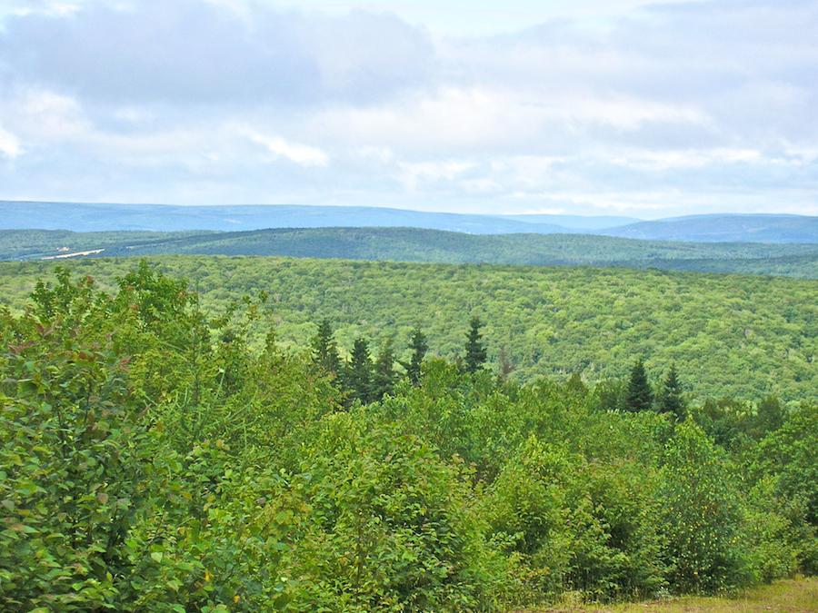 Telephoto View to the West of North from the Spur Road