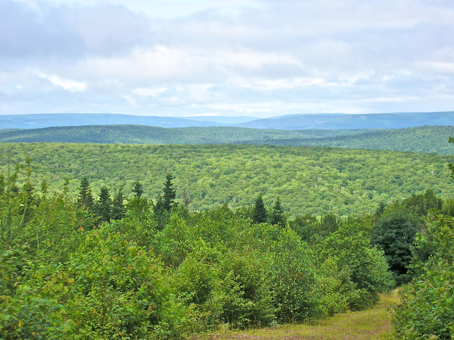 Telephoto View Due North from the Spur Road