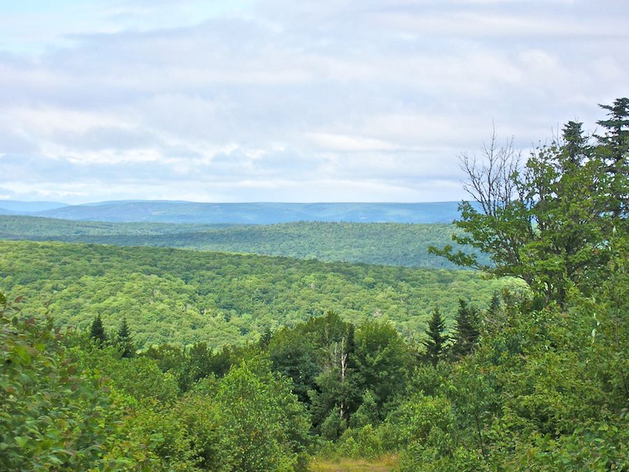 Telephoto View to the East of North from the Spur Road to the Campbells Mountain Look-Off