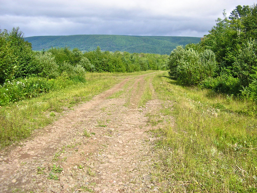 The End of the Provincially-Maintained Section of the Campbells Mountain Road