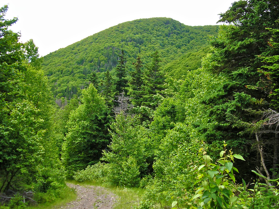 Cape Mabou Highlands from the MacDonalds Glen Road