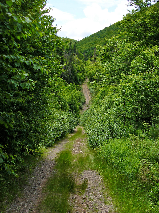 The V-Shaped Glen