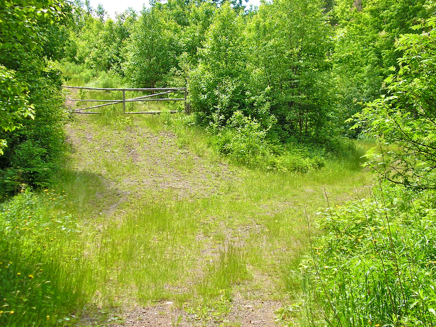 The wooden gate