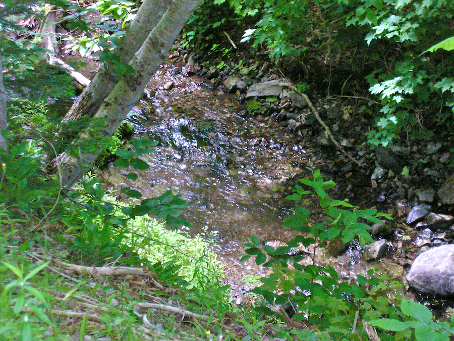 MacDonalds Glen Brook