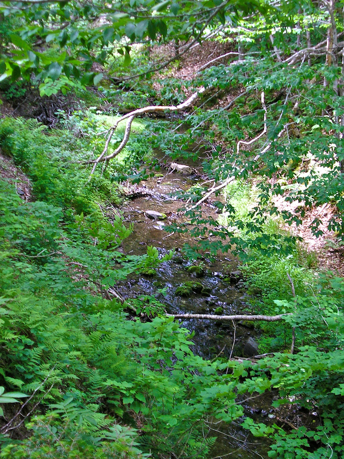 MacDonalds Glen Brook