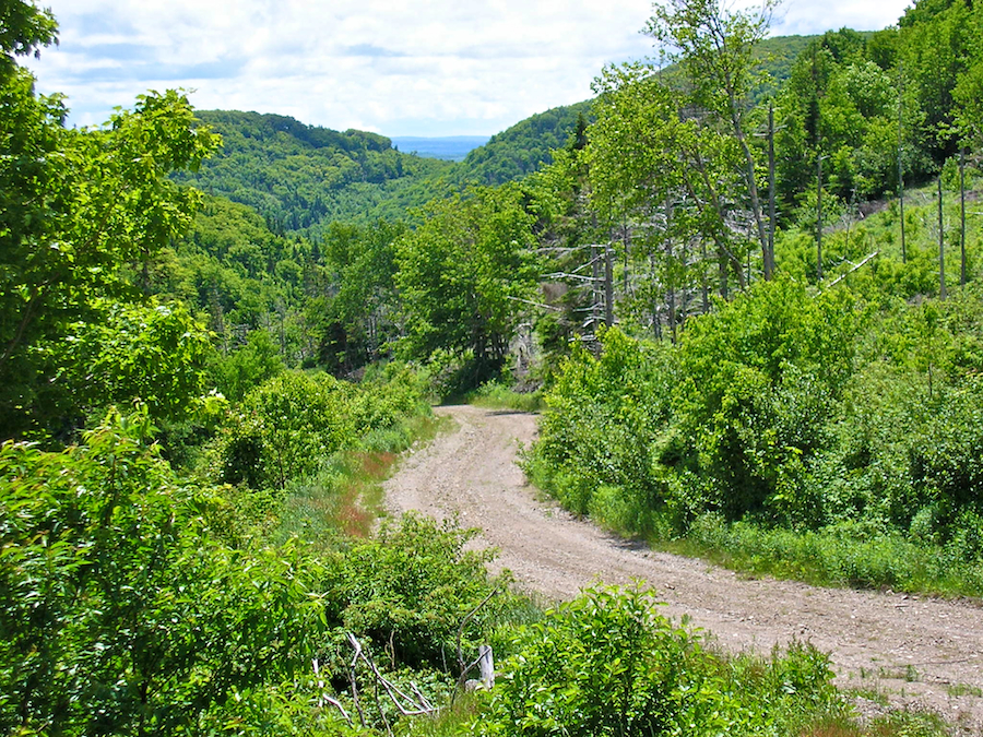 View to the south from the junction
