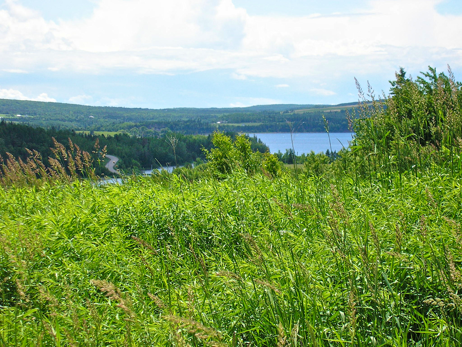 First View of the Mabou River from the MacDonalds Glen Road