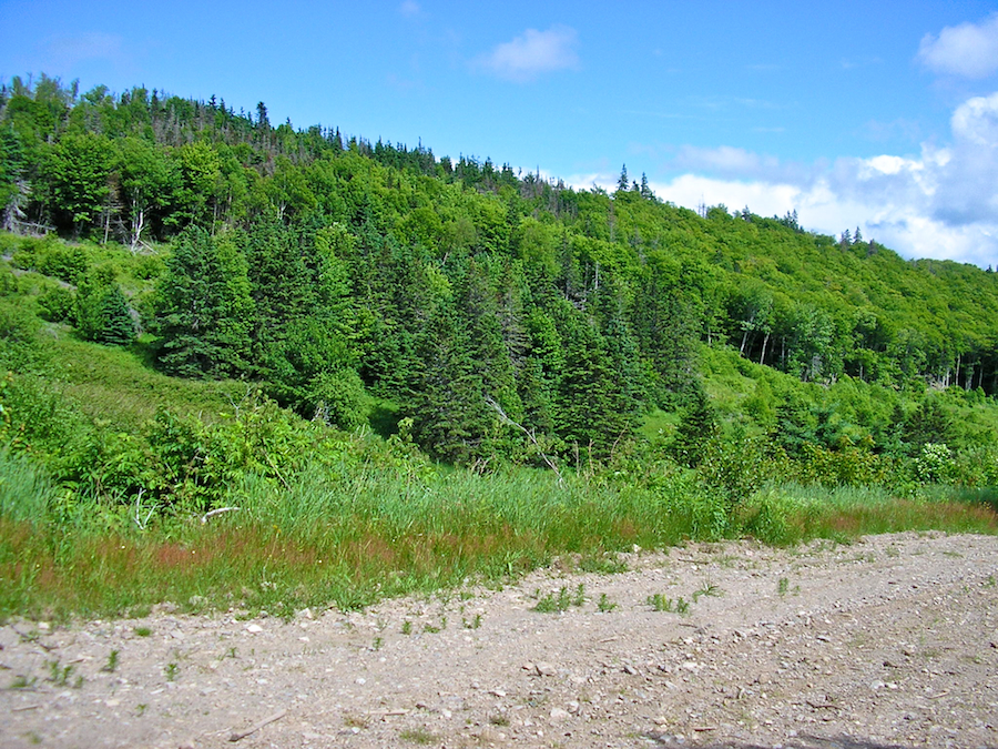 Hillside beside MacDonalds Glen Road