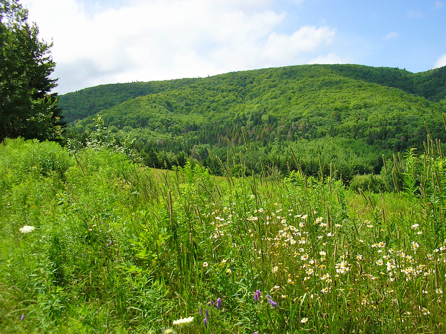Cape Mabou Highlands from the trail head
