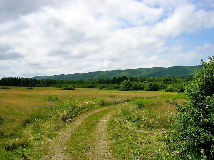 Cape Mabou Highlands from near the Broad Cove River Bridge in Strathlorne