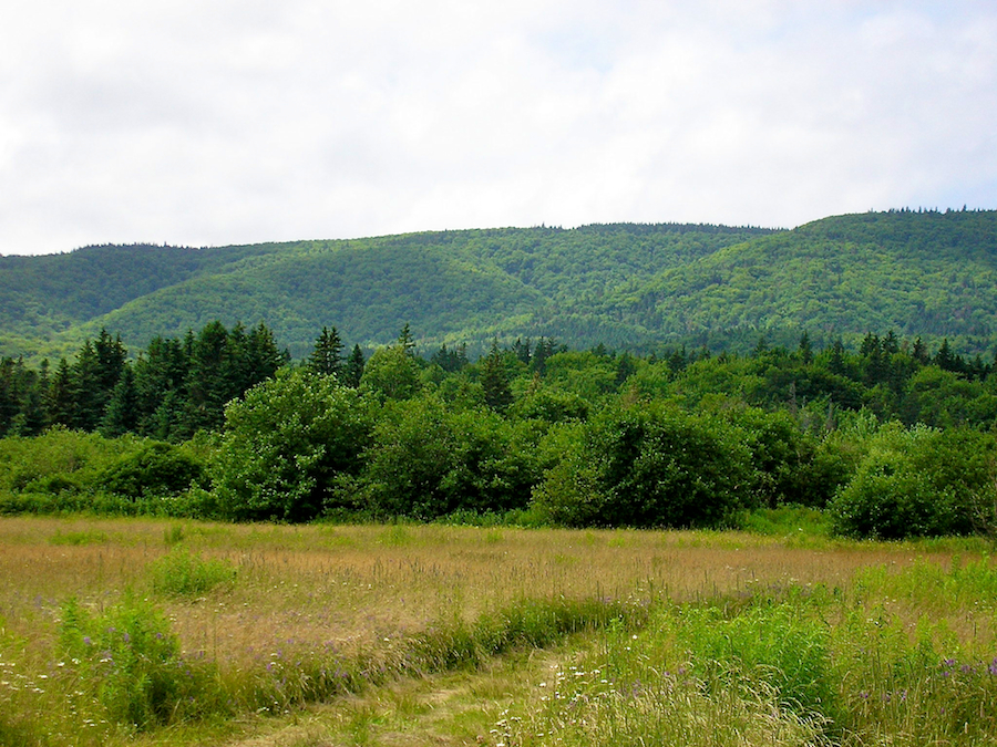Cape Mabou Highlands from near the Broad Cove River Bridge in Strathlorne
