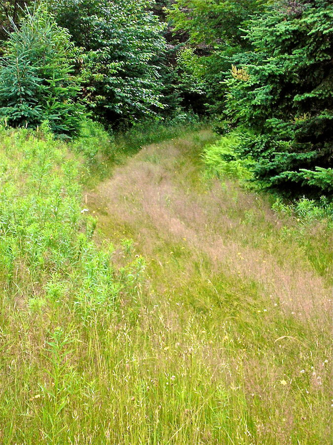 The North Highlands Road at the Summit