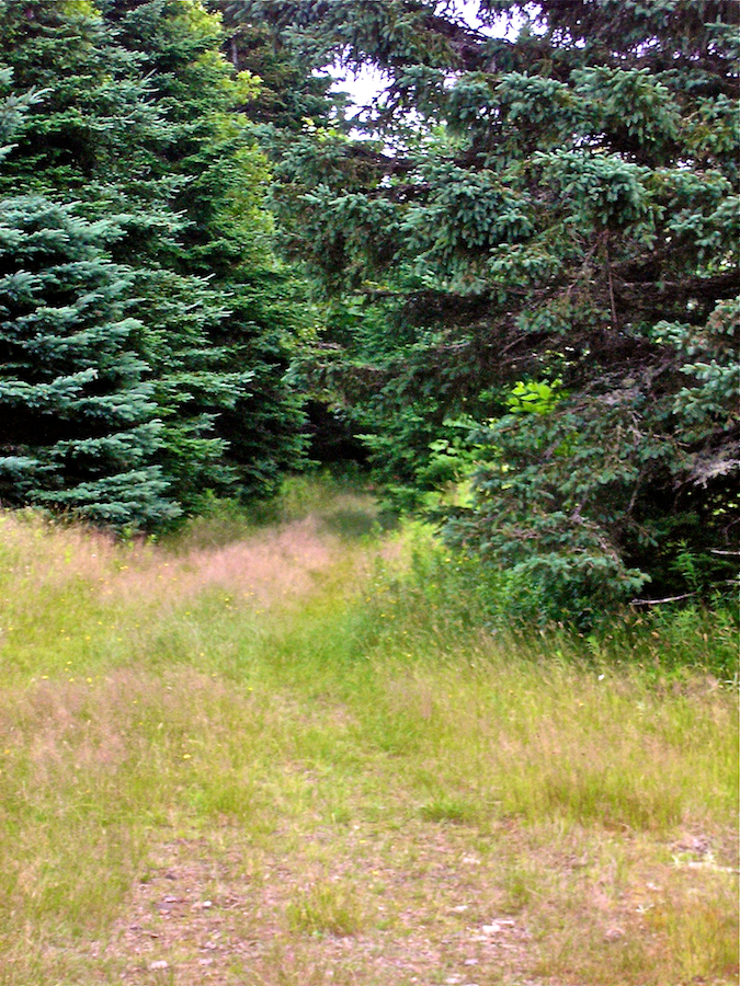 The North Highlands Road at the Summit