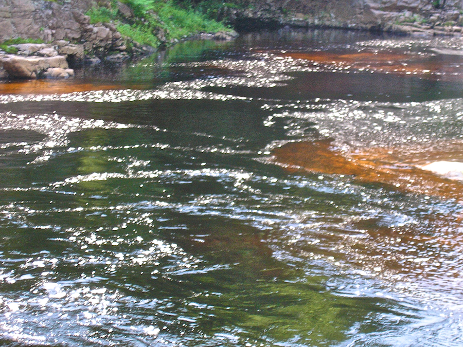 Pool from the first side trail above First Pool